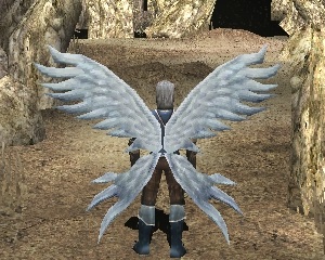 wings-of-soul